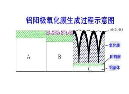 妖精视频免费在线观看硬質陽極氧化膜生成過程